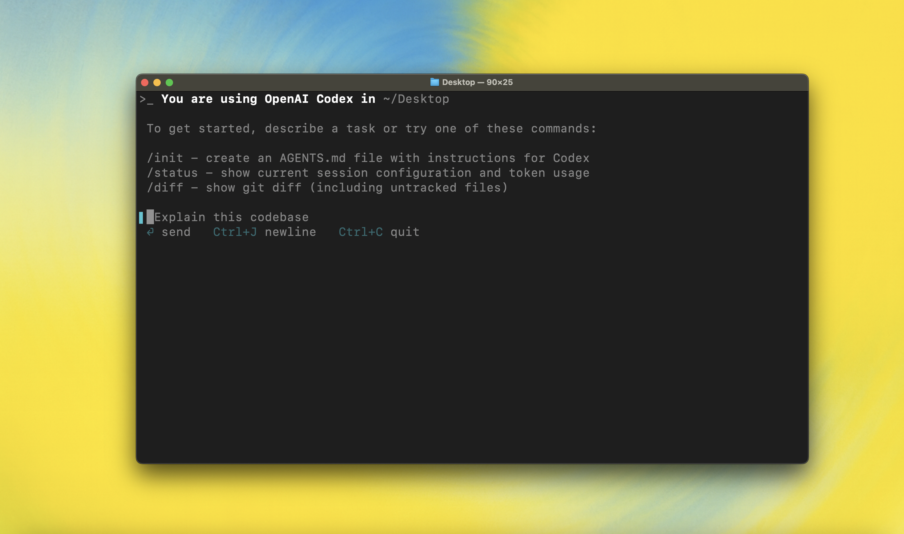 Codex CLI splash